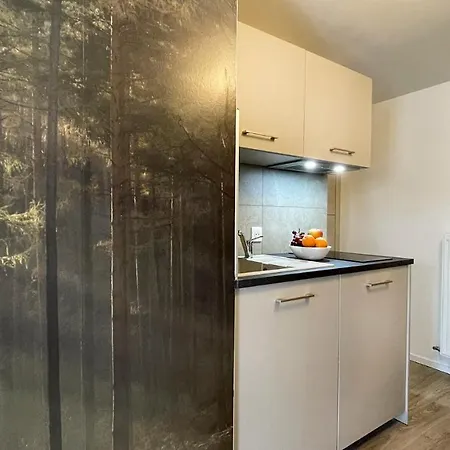 Homey - Studio Forest Cosy - Hyper Centre - Aux Portes De Geneve *