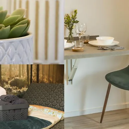Homey - Studio Forest Cosy - Hyper Centre - Aux Portes De Geneve Apartment