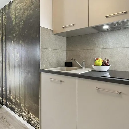 Homey - Studio Forest Cosy - Hyper Centre - Aux Portes De Geneve Apartment *